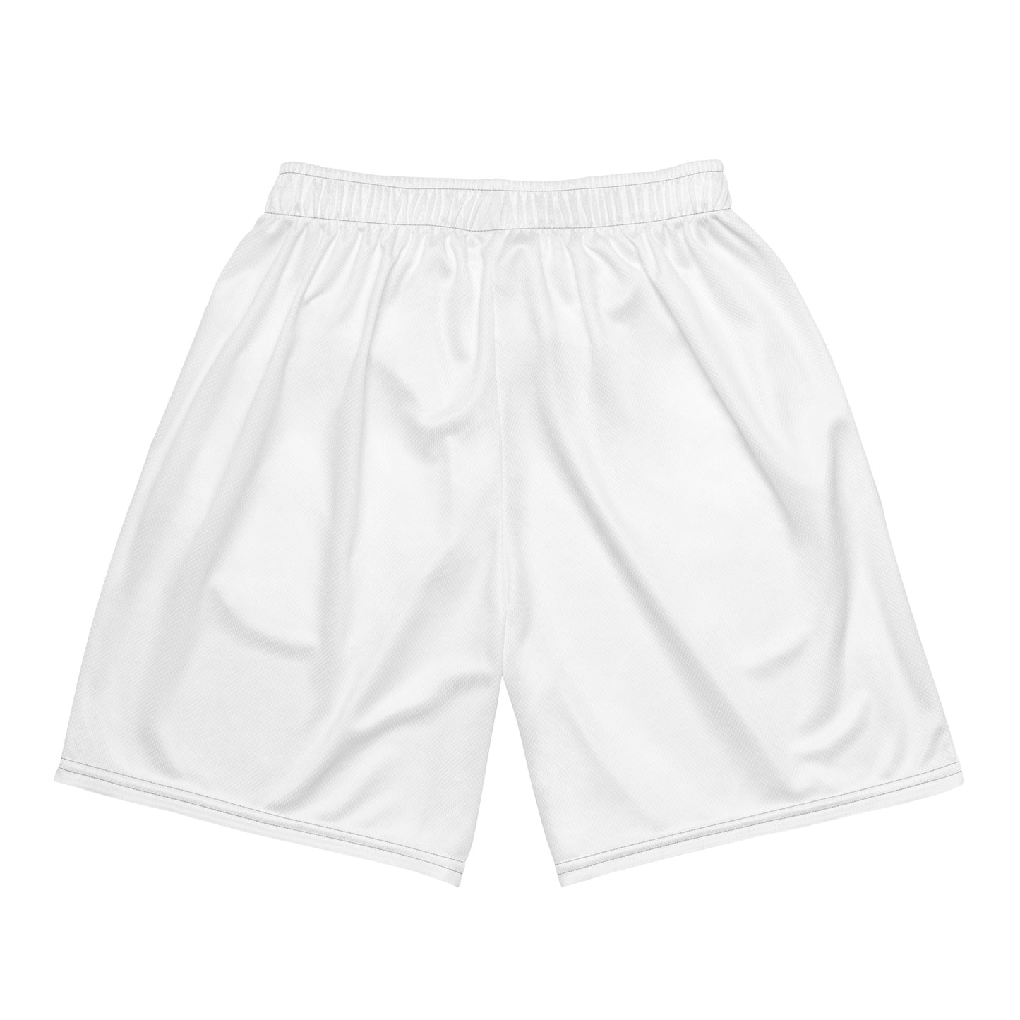 CLOCKIN Hoops Standard mesh shorts